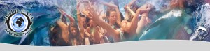 Dolphin_Coast_Banner_201702