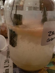 Zinc Gans made with Himalayan Salt